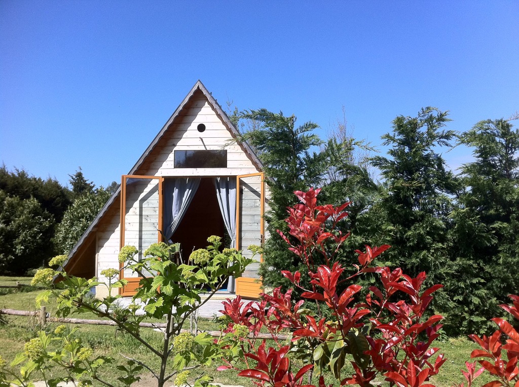 photo diplome Michele  MEZIN