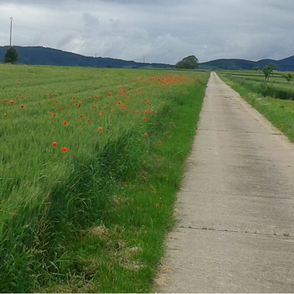 Jean Christophe RIGAL