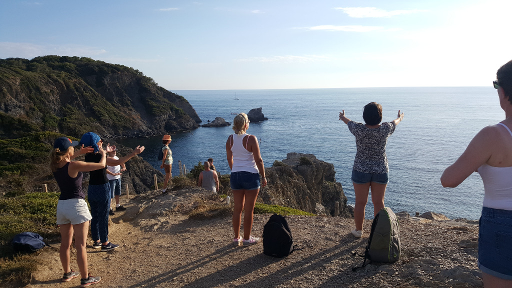 photo activite Stéphane Plessis