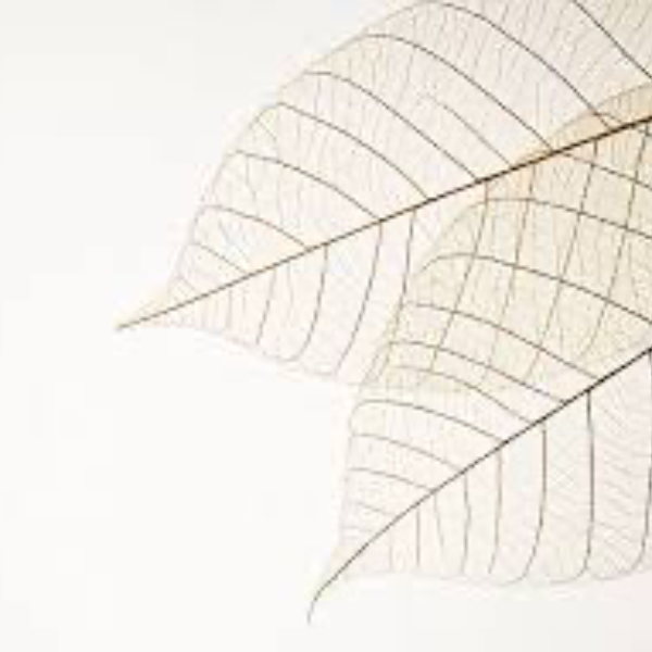 Claire Grivet Rouchon