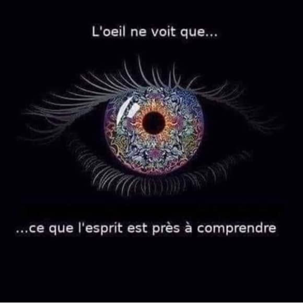 PAULY Mélanie E-Perspectives