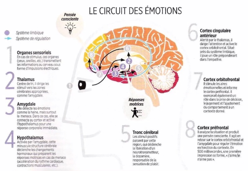 photo portrait PAULY Mélanie E-Perspectives