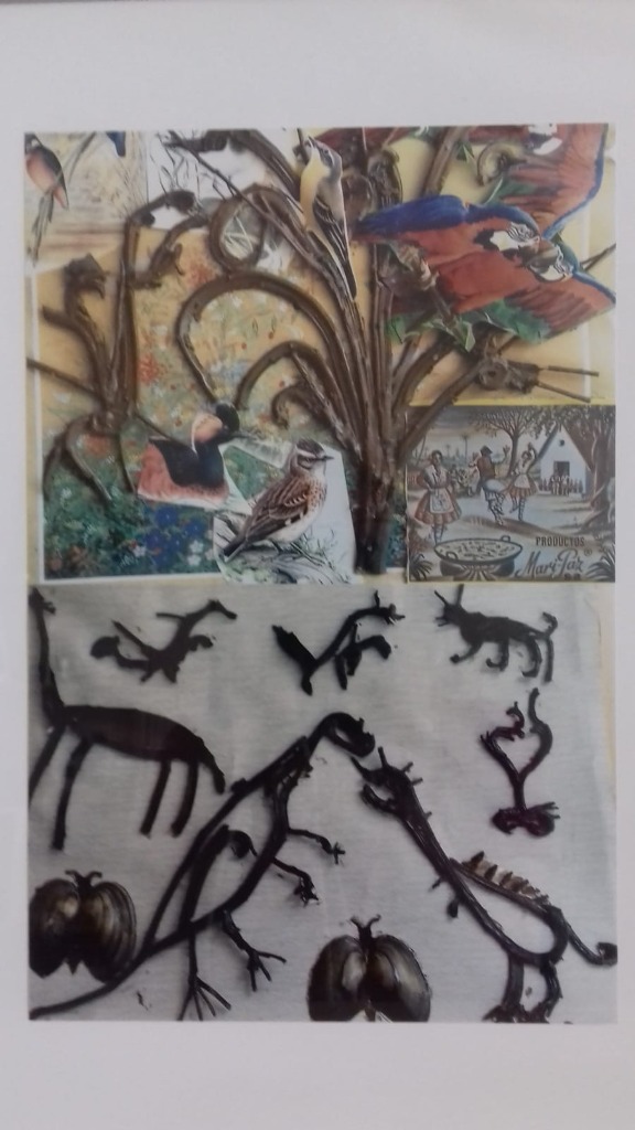 photo activite Maria del Pilar CARRENO CARRENO MARIA