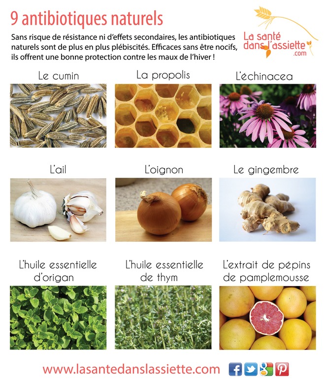 photo activite Laetitia HALLIER