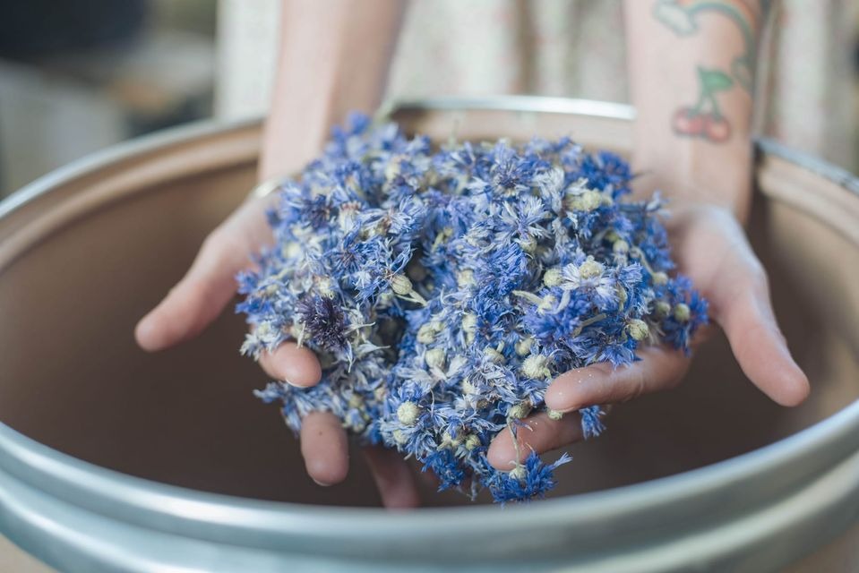 photo activite Helene KERGOURLAY