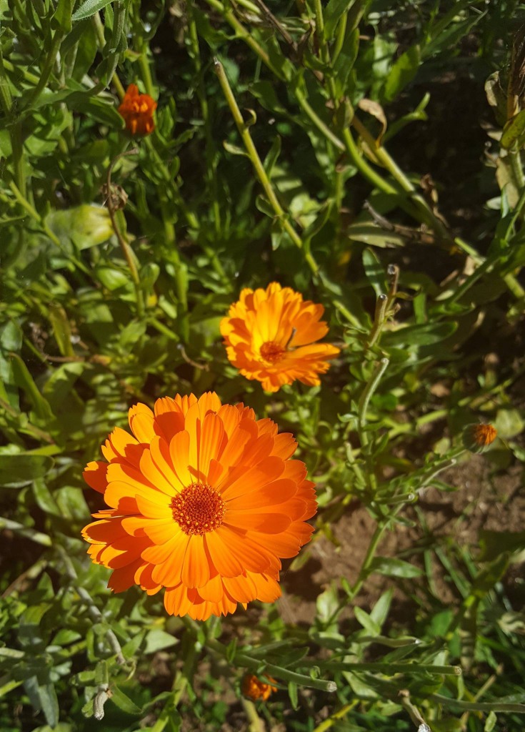 photo seance Helene KERGOURLAY