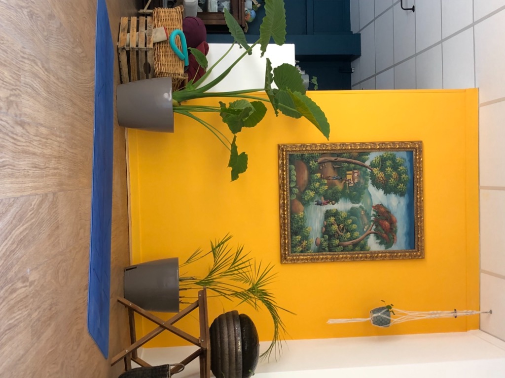 photo cabinet Marie Paule ZANOTTI