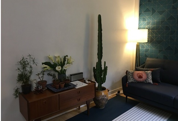 photo cabinet Marianne-Blanche MAURY