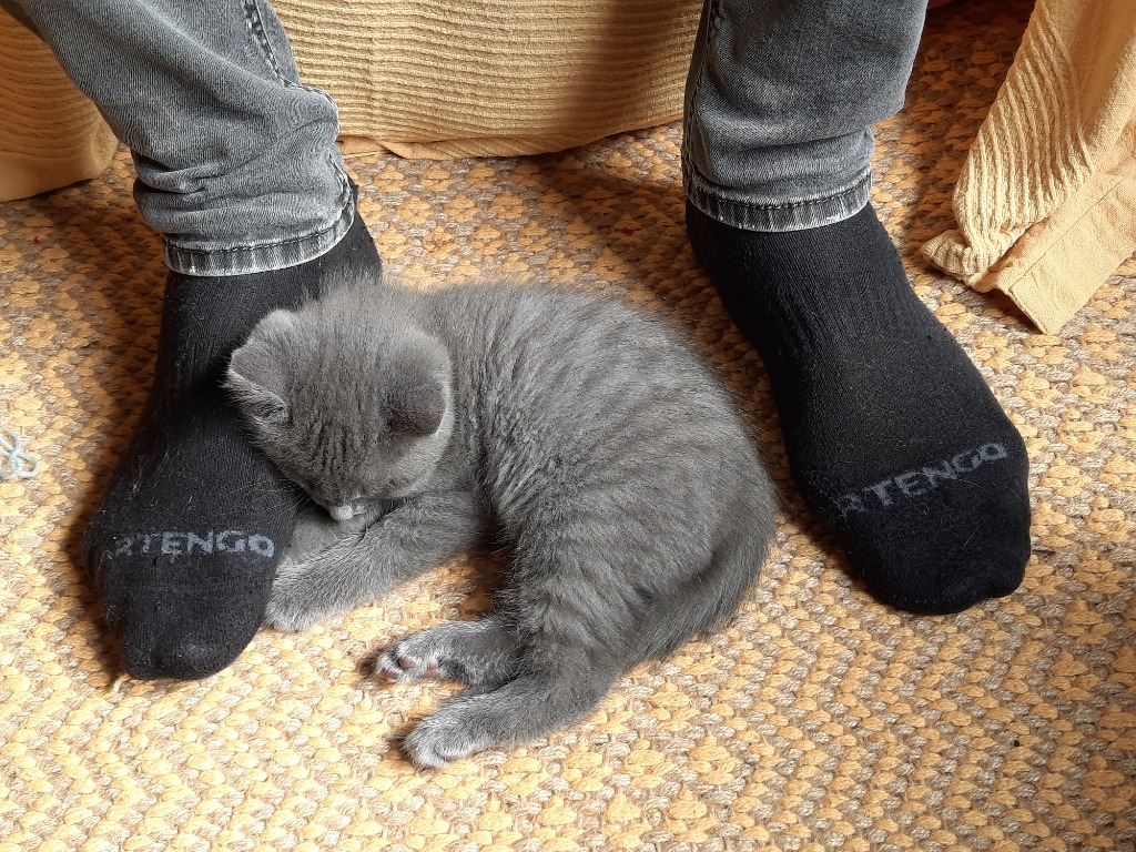 photo seance DOUCHET-DUPONT Karen