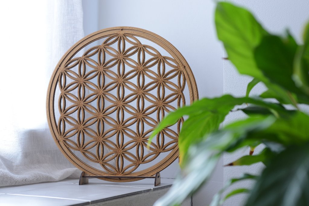 photo seance SEGUIN Béatrice