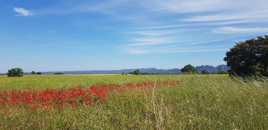 photo activite DUVAL Catherine