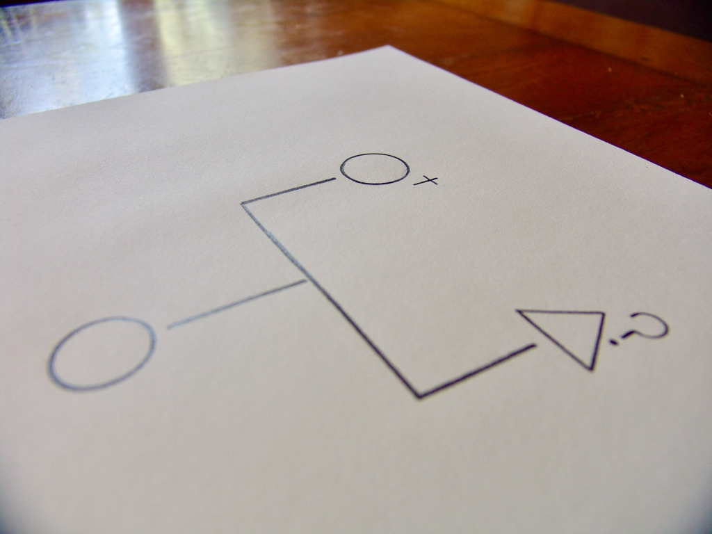 photo activite Bertrand Cognato