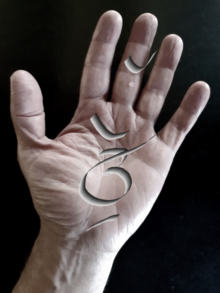 photo activite Patrick demouy