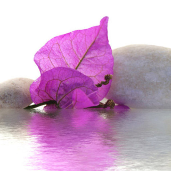 Valérie Morin Petruzzella