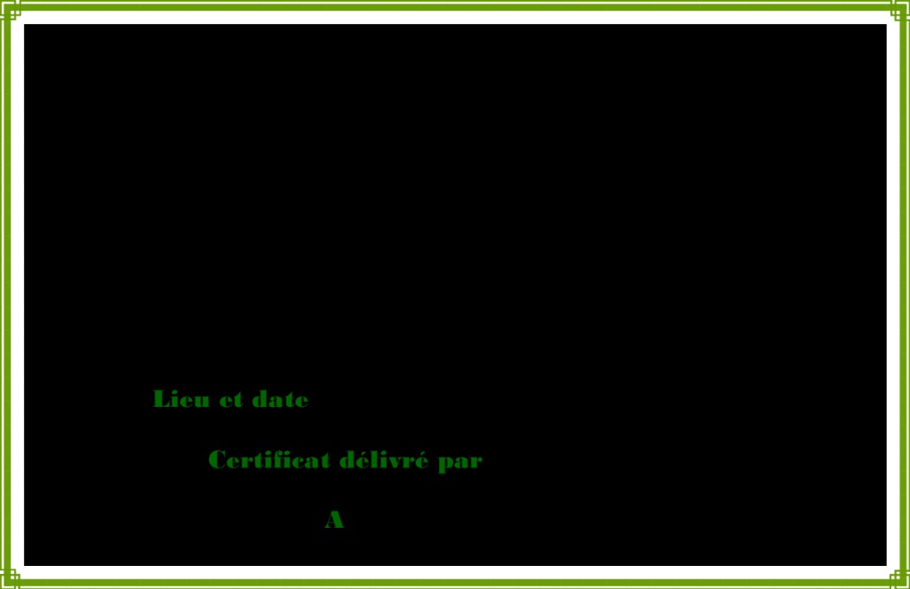 photo diplome MARIE JANNEAU