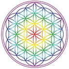 photo activite WEHRUNG Didier