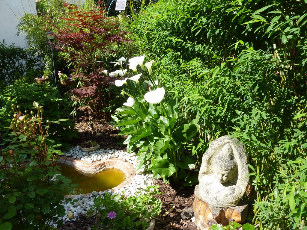 photo portrait Mme Janick Sitbon / Kinajzen