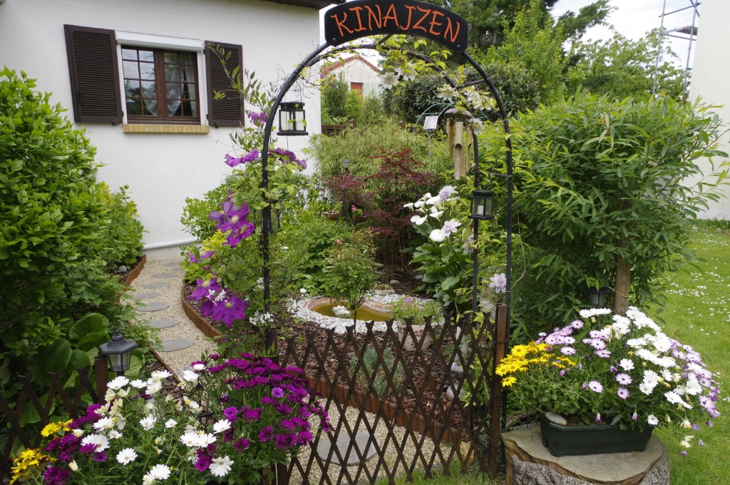 photo seance Mme Janick Sitbon / Kinajzen