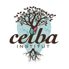 photo cabinet Virginie DANIEL