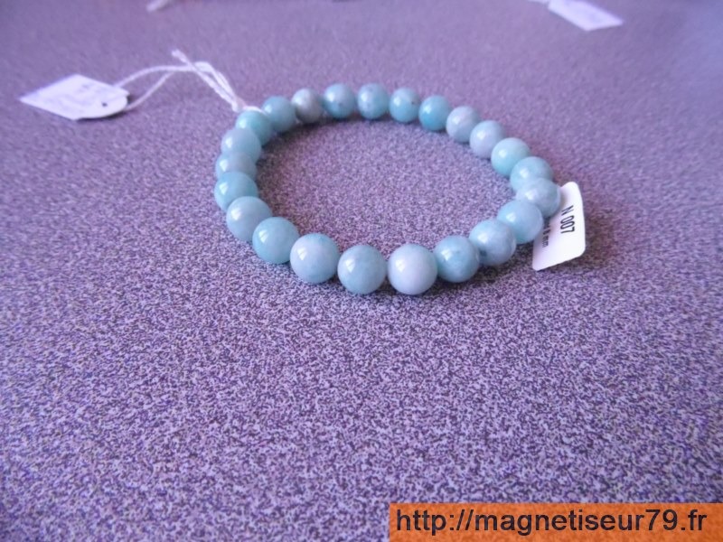 photo diplome Magnetiseur79