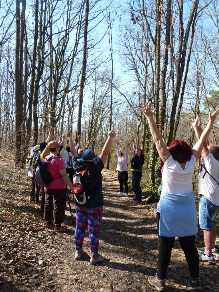 photo activite CHAMAUX Sylvie