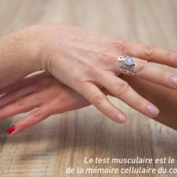 Lauris Kinésiologue