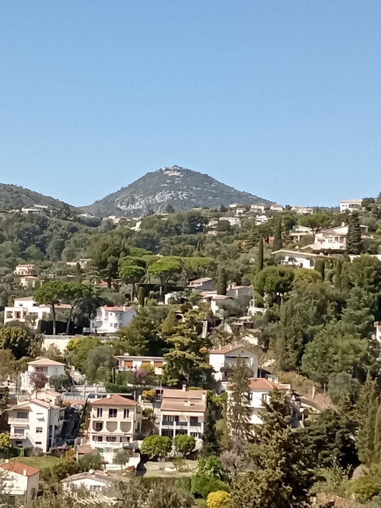 photo cabinet Estelle ROUYER