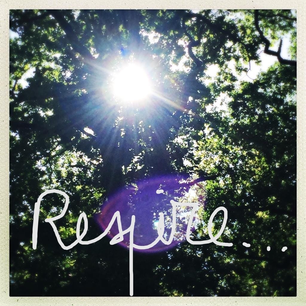 photo seance Johanne Frémont