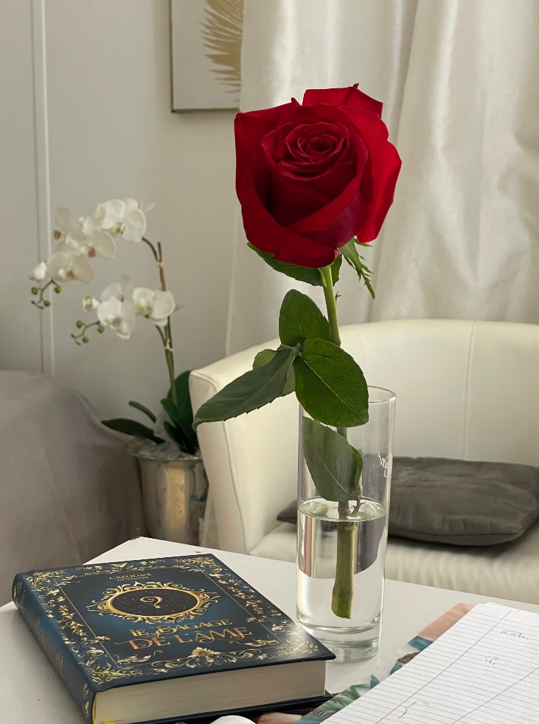 photo cabinet Isabelle de Grandmaison