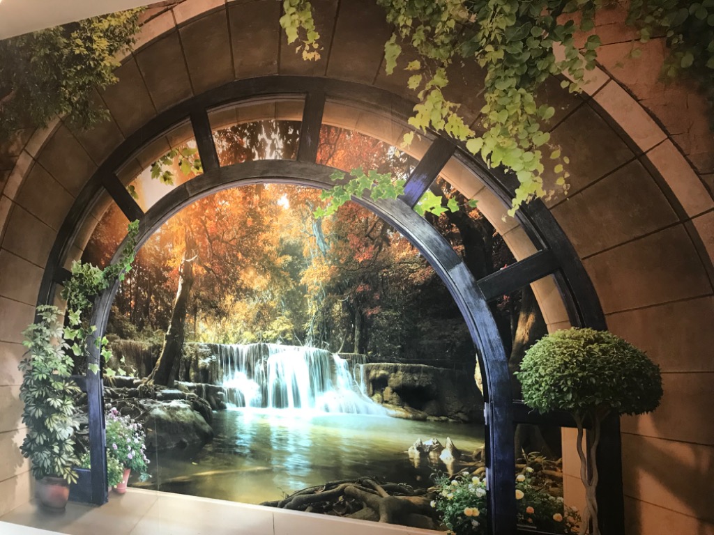 photo cabinet Michel  DETRES