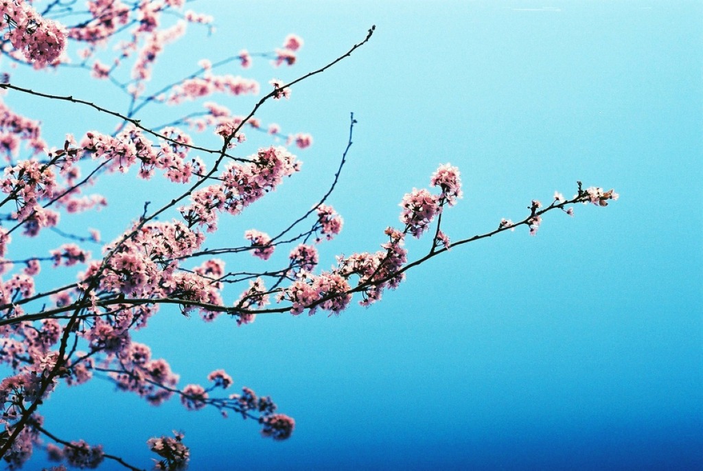 photo cabinet brigitte baudu