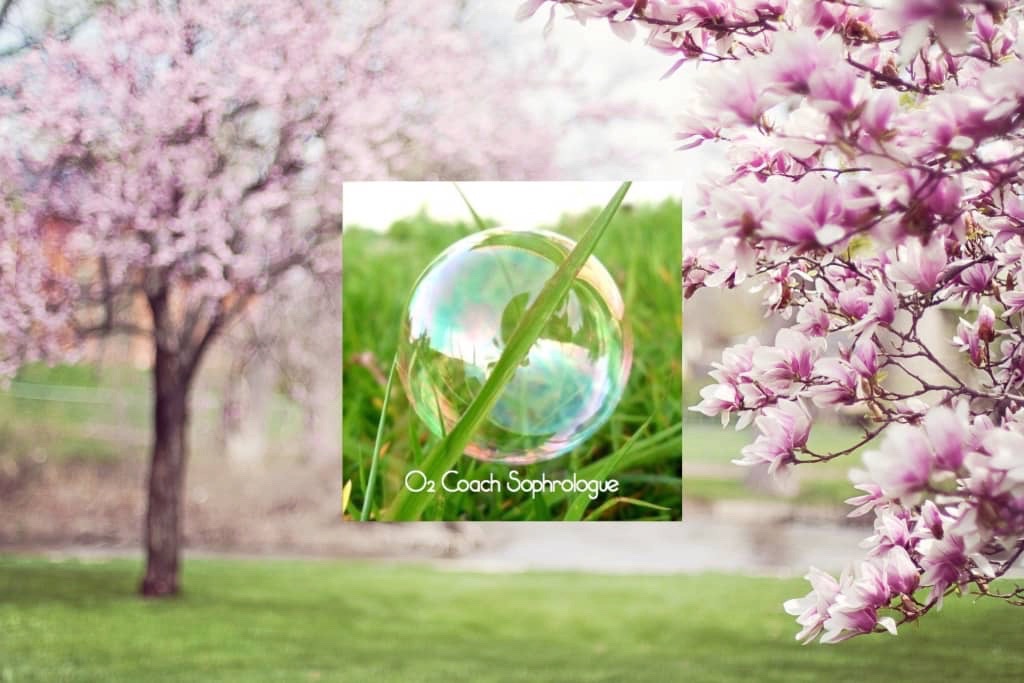 photo activite Valérie Drouet