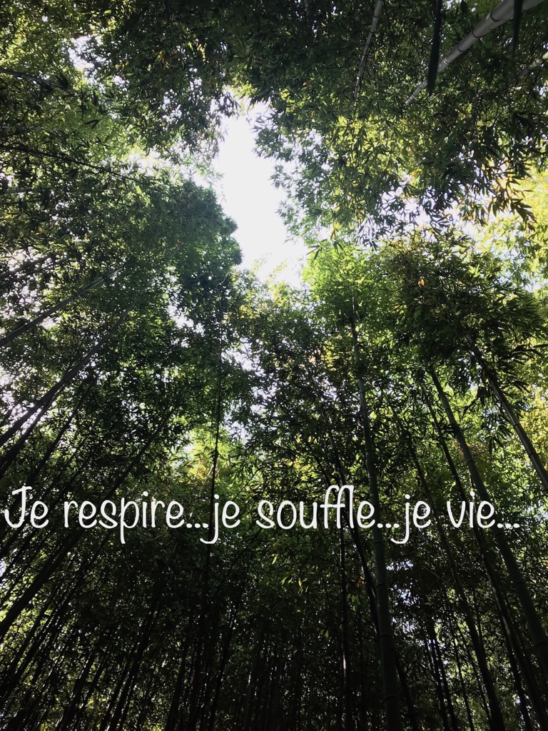 photo activite Iwona Stober