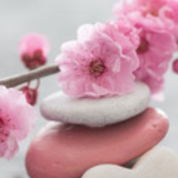 Nathalie-Charline ANDRE