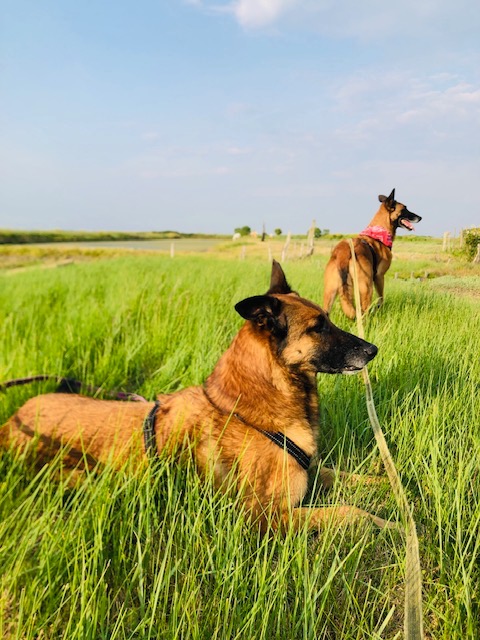 photo activite Amelie GAUTHIER 