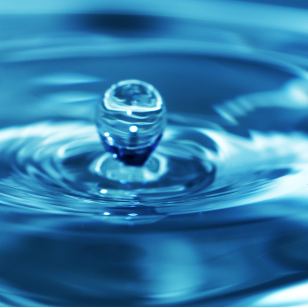 Marie-Laure Randuineau