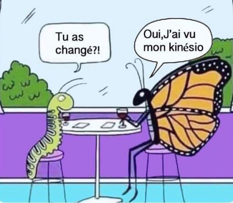 photo activite Virginie Balay