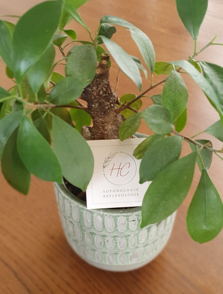 photo seance Hélène Carpentier