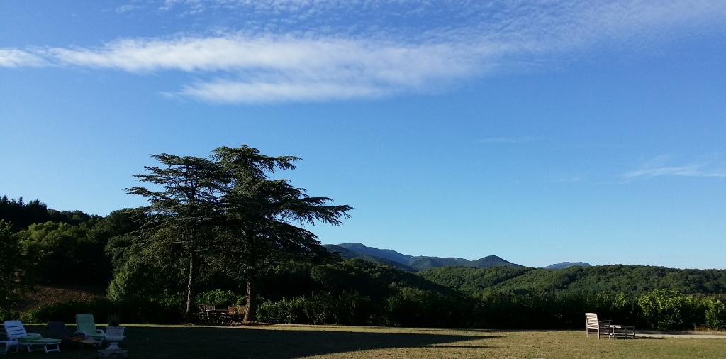 photo portrait Magali DETCHESSAHAR BANCEL