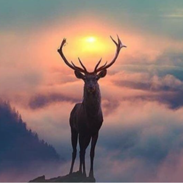 Christophe R.C. GONDA