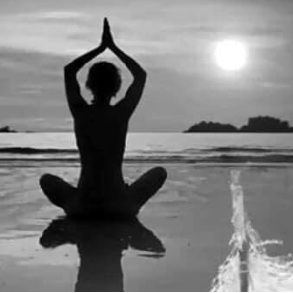 Angélique REGNAULT ROISNEL