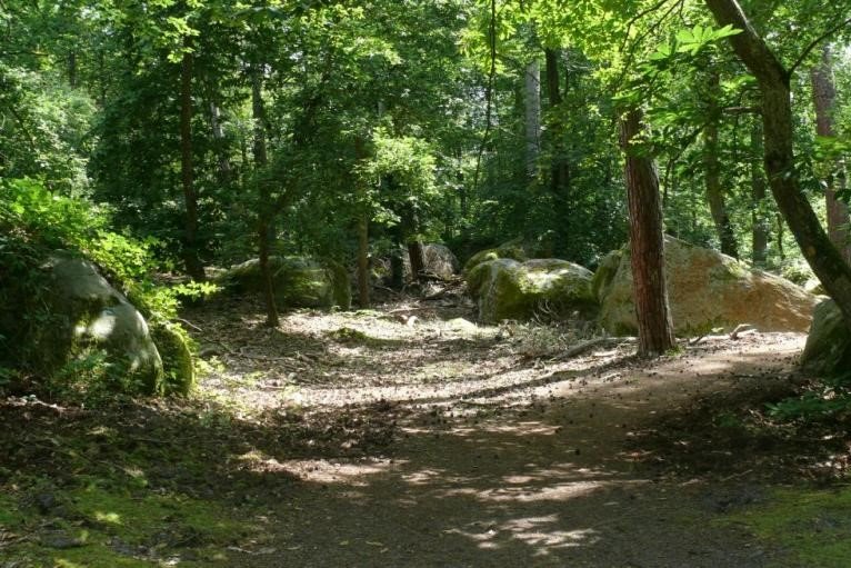 photo activite Marie-Christine Chambon-Bienvenu