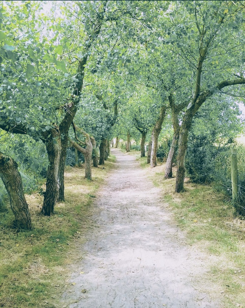 photo portrait Virginie NEVEU