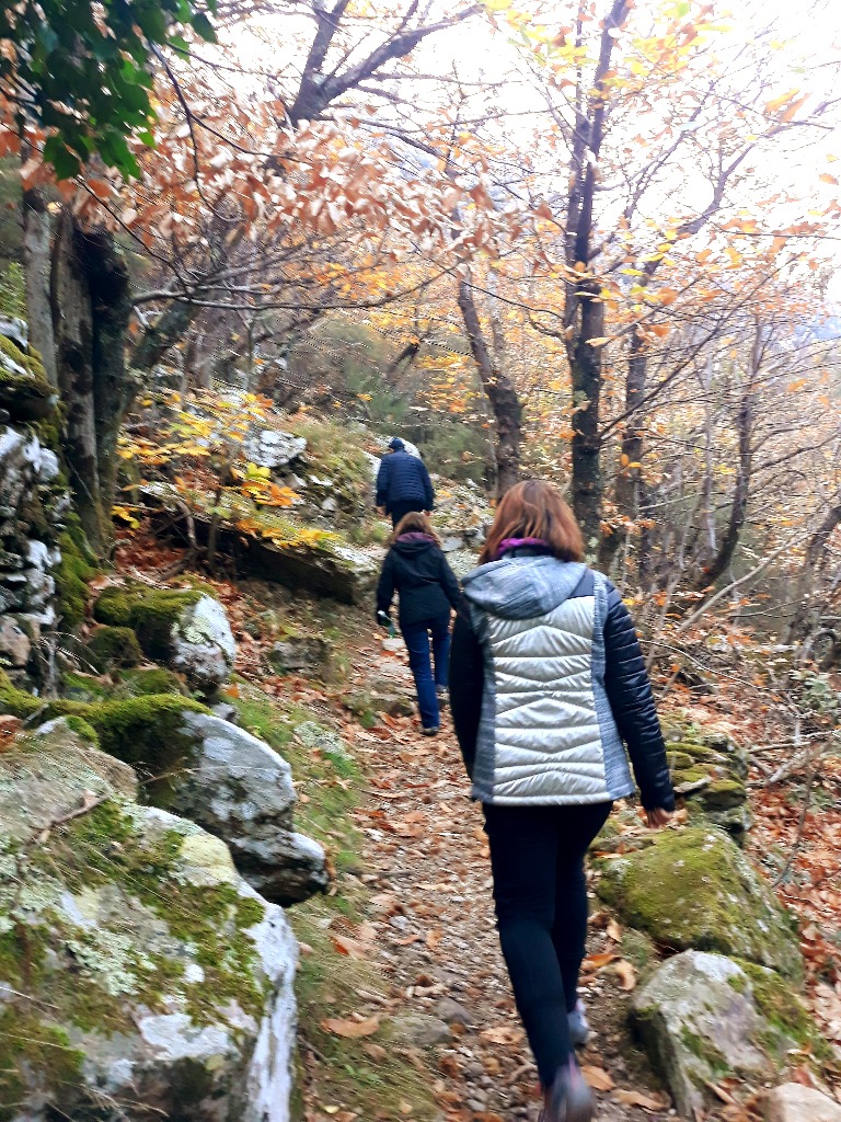 photo activite VIRGINIE ROSSI