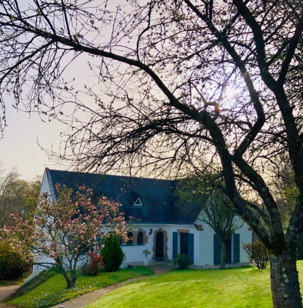 photo cabinet Marie MROZ