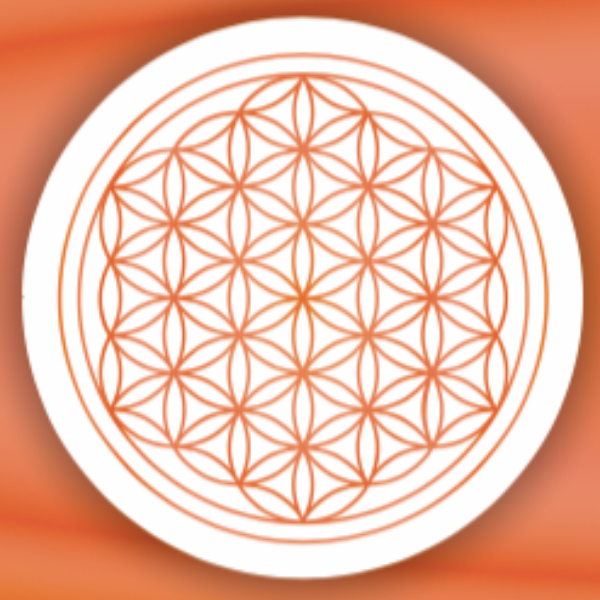 Figueiredo Véronique