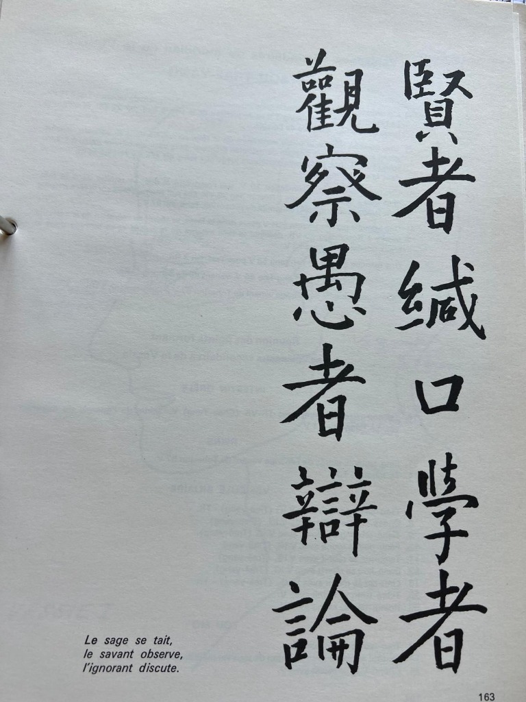 photo portrait Miche laurence 