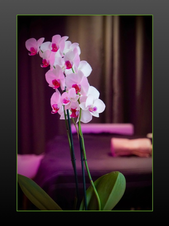 photo cabinet JULIE BLOT