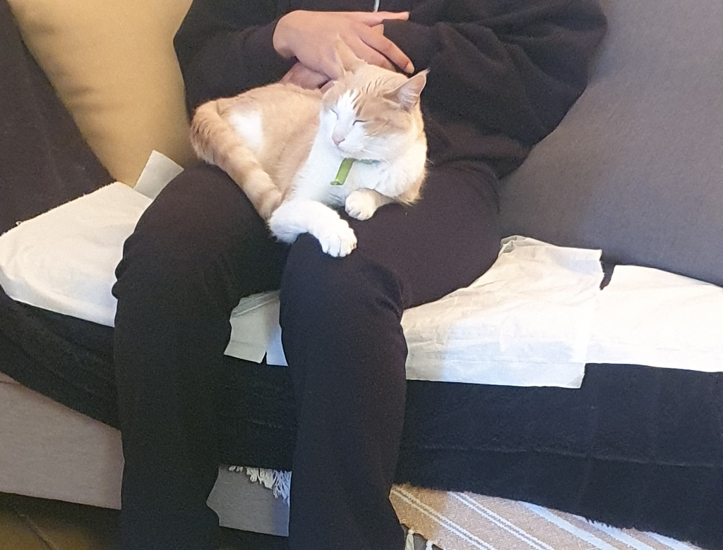 photo activite Psychothérapie&développement personnel