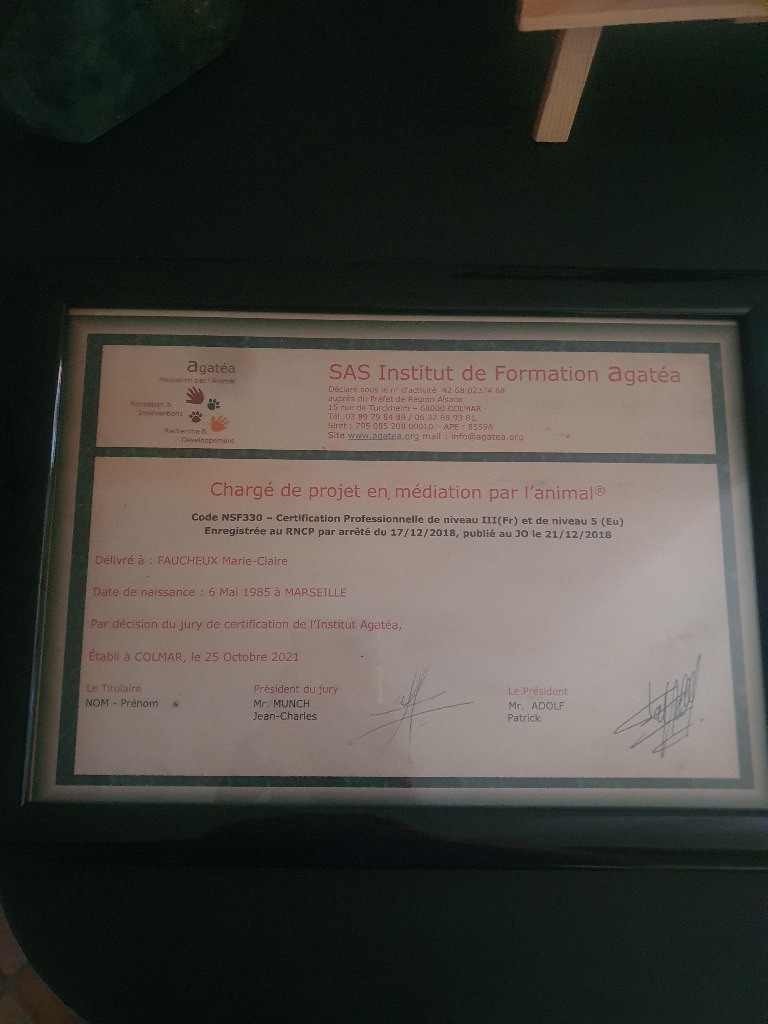 photo seance Psychothérapie&développement personnel